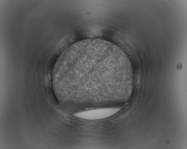 X0000091900523200710031824