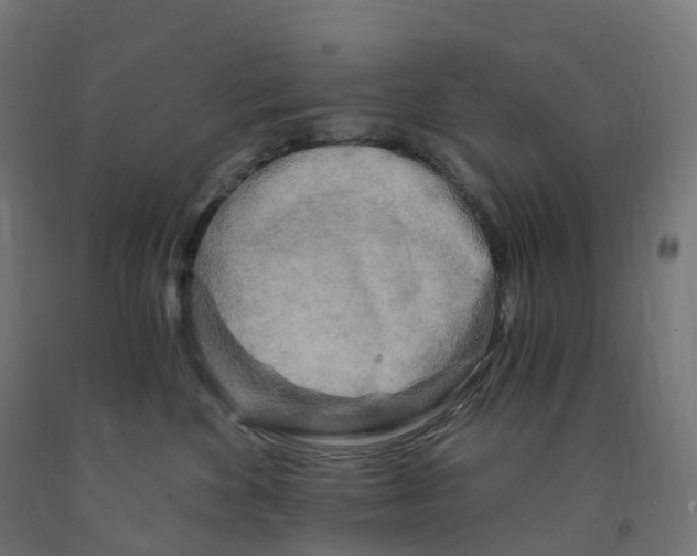 X0000091900524200710031824