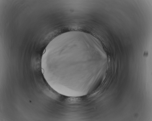 X0000091900526200710031824