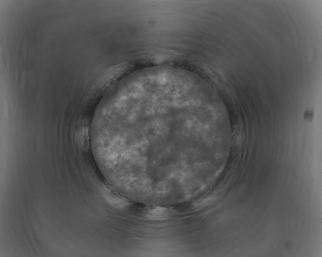 X0000091900527200710031824