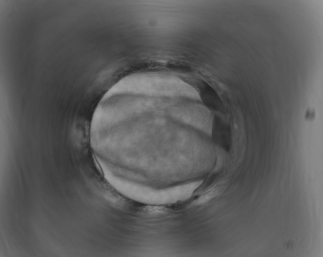 X0000091900528200710031824