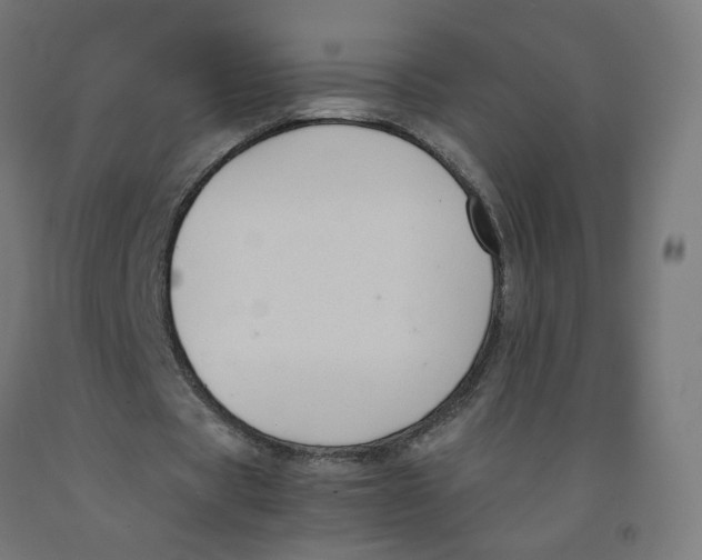 X0000091900529200710031824