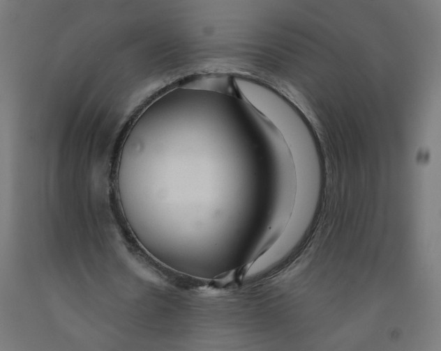 X0000091900530200710031824