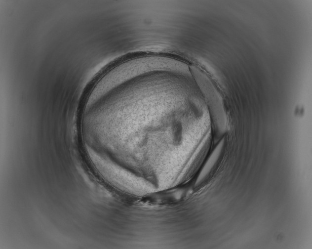 X0000091900532200710031824