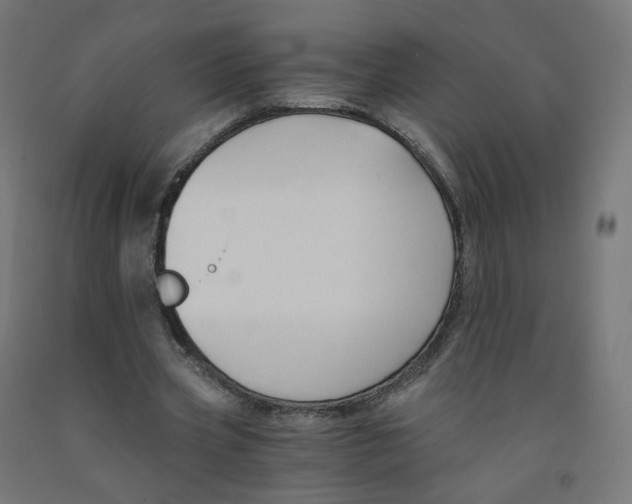 X0000091900533200710031824