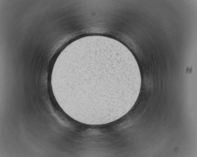 X0000091900534200710031824