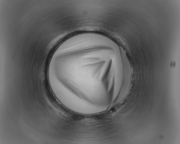 X0000091900536200710031824