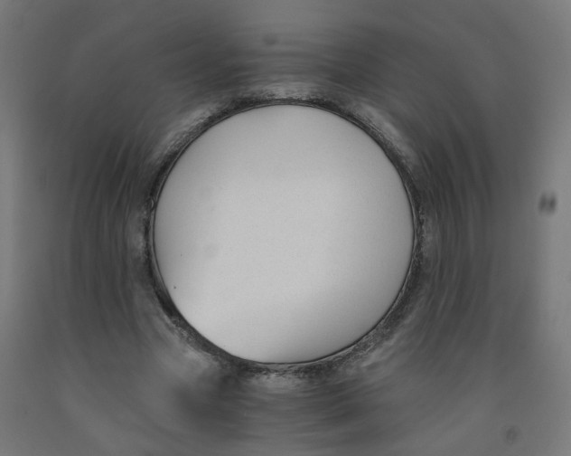 X0000091900537200710031824