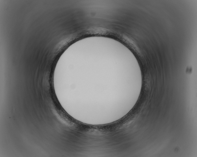 X0000091900538200710031824