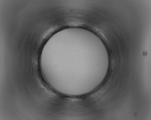 X0000091900539200710031824