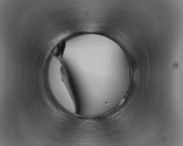 X0000091900540200710031824