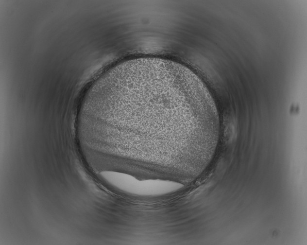 X0000091900542200710031824