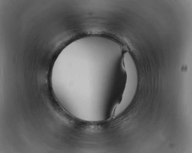 X0000091900543200710031824