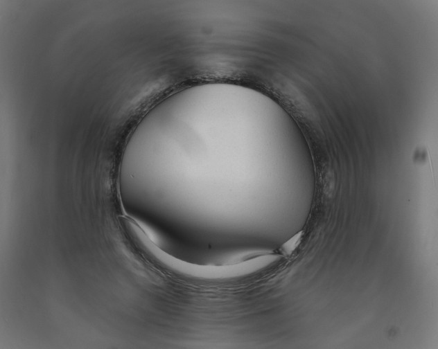 X0000091900546200710031824