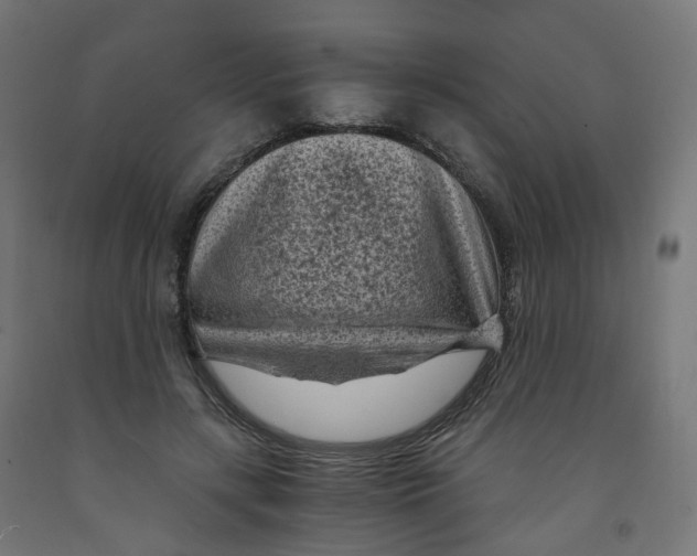 X0000091900547200710031824