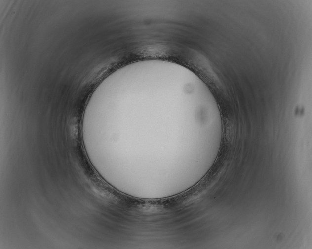 X0000091900549200710031824