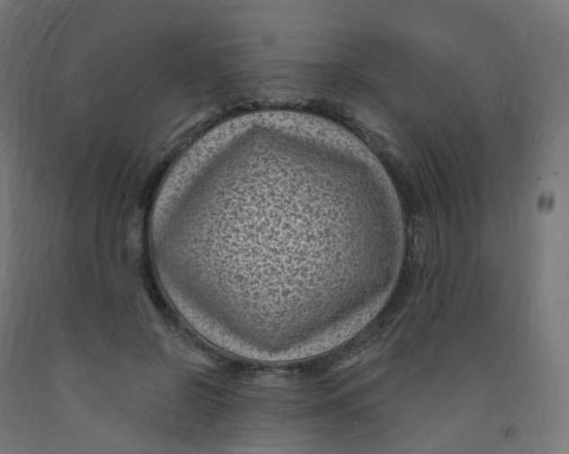 X0000091900550200710031824