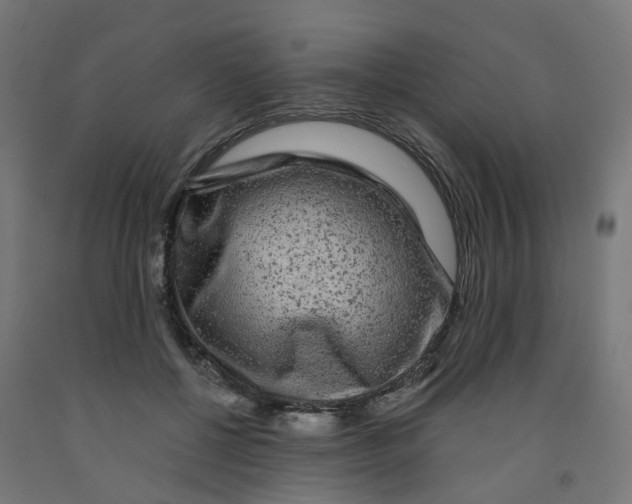 X0000091900552200710031824