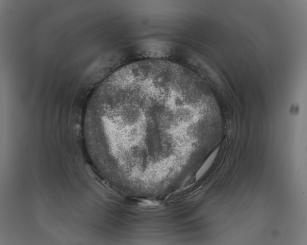 X0000091900553200710031824