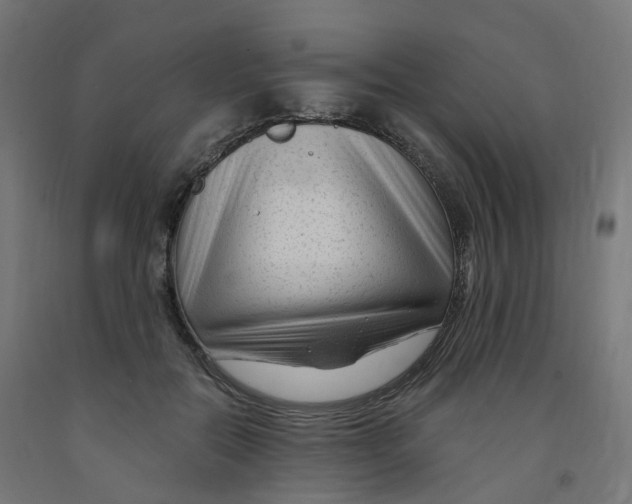 X0000091900554200710031824