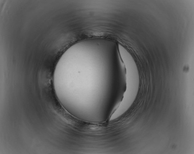 X0000091900555200710031824