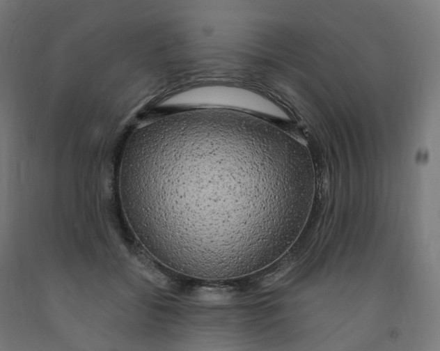 X0000091900556200710031824