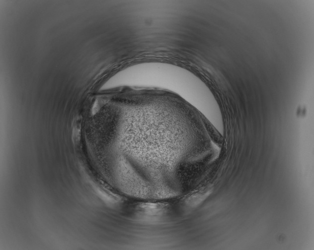 X0000091900558200710031824