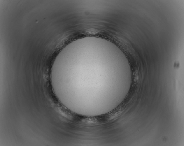 X0000091900559200710031824