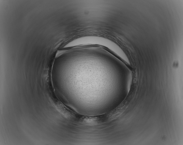 X0000091900560200710031824