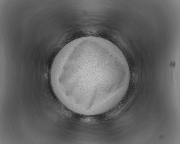 X0000091900561200710031824