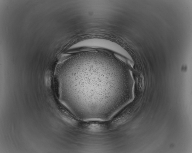 X0000091900562200710031824