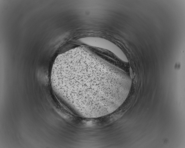 X0000091900564200710031824