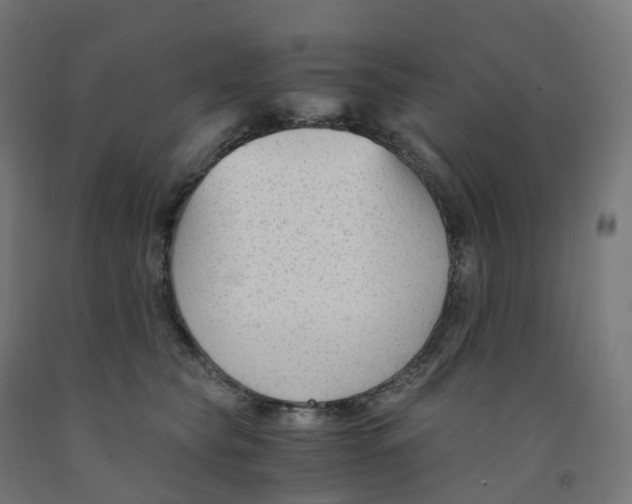 X0000091900565200710031824