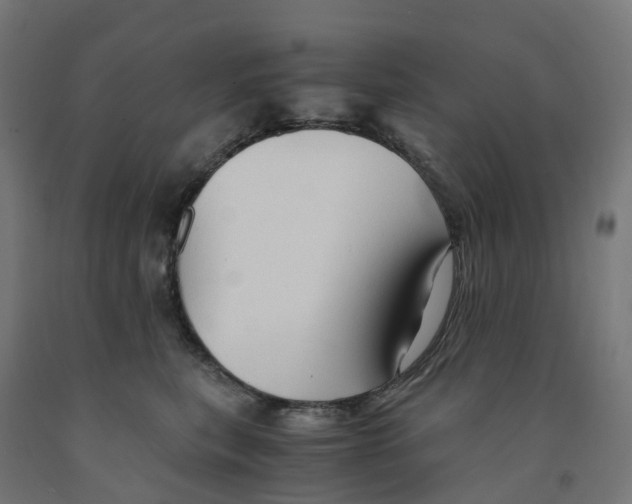 X0000091900567200710031824