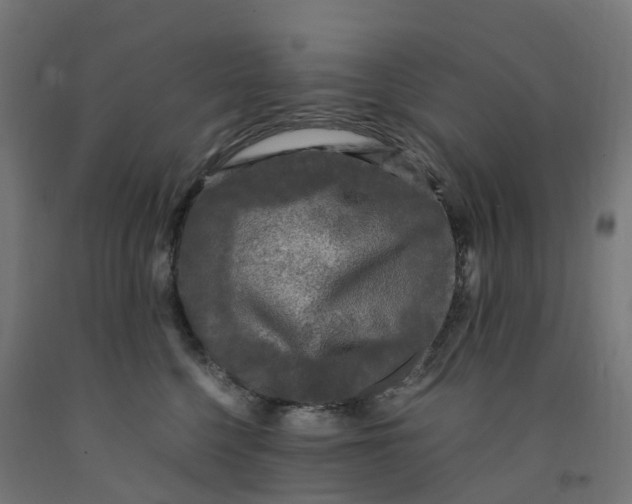 X0000091900568200710031824