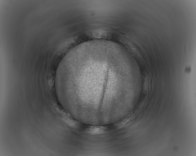 X0000091900569200710031824