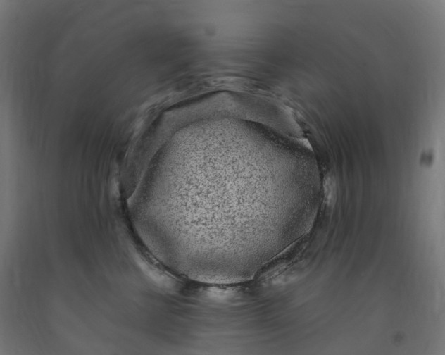 X0000091900570200710031824