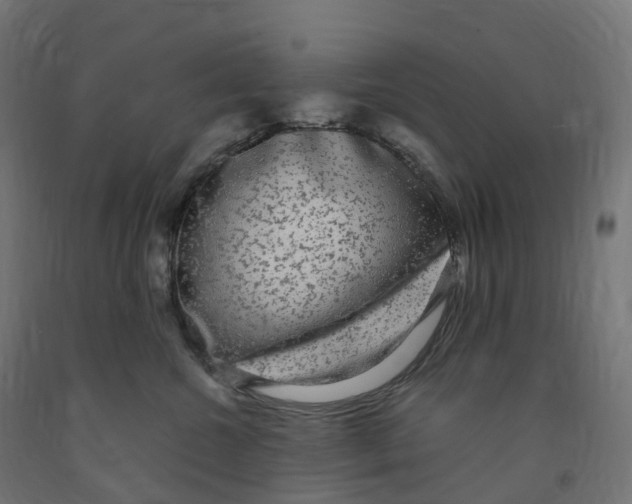 X0000091900572200710031824