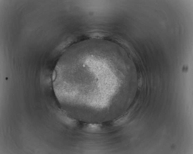 X0000091900573200710031824