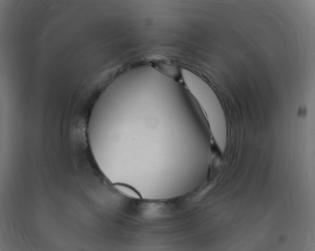 X0000091900575200710031824