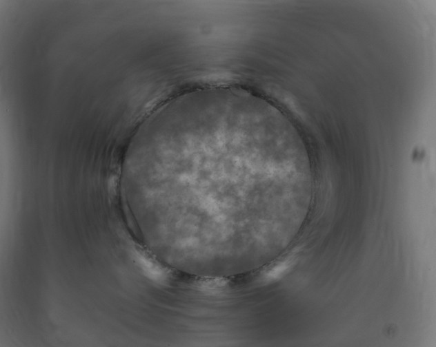 X0000091900576200710031824