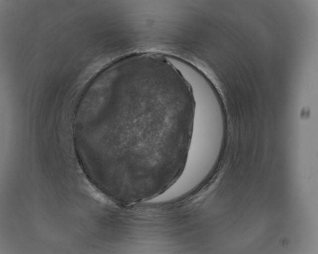 X0000091900577200710031824