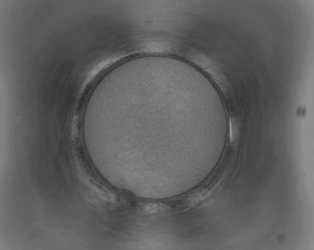 X0000091900579200710031824