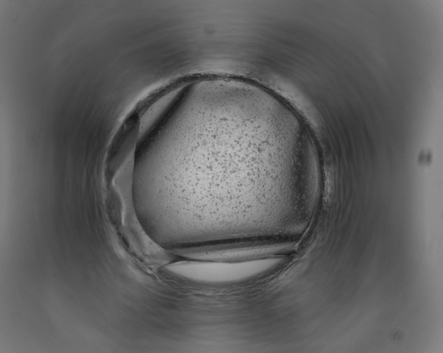 X0000091900580200710031824