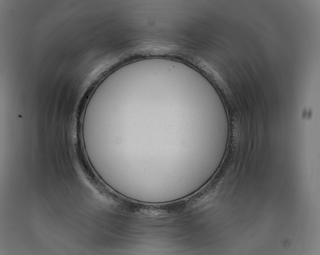 X0000091900582200710031824