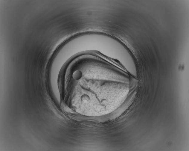 X0000091900584200710031824