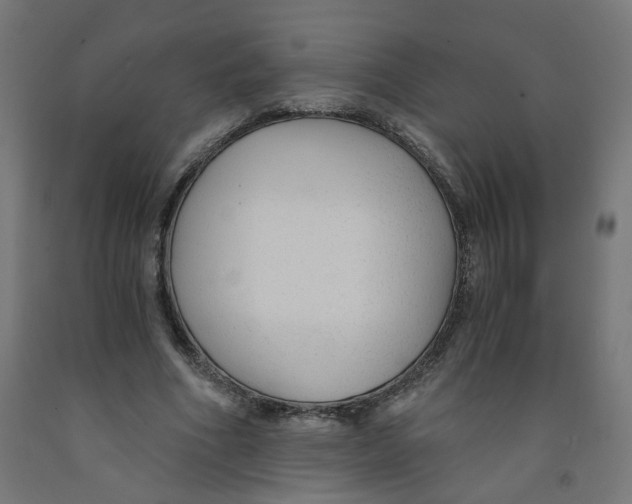 X0000091900586200710031824