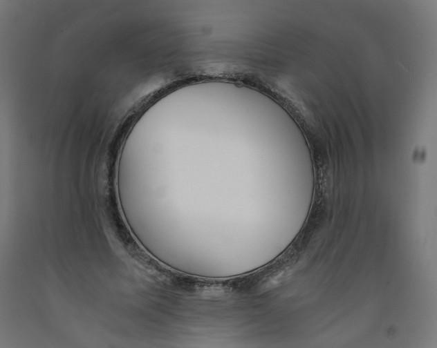 X0000091900587200710031824