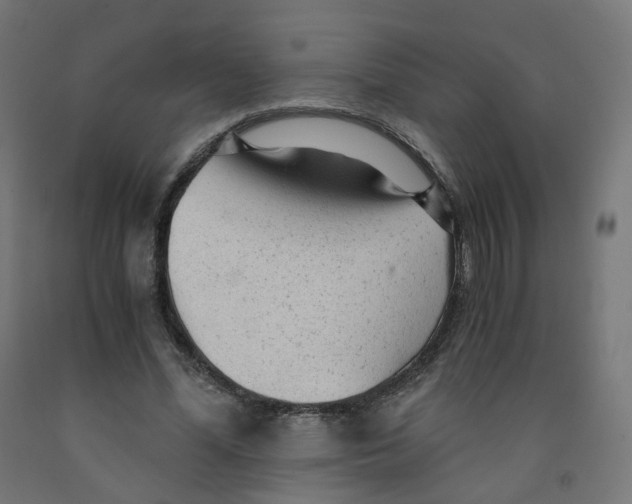 X0000091900588200710031824