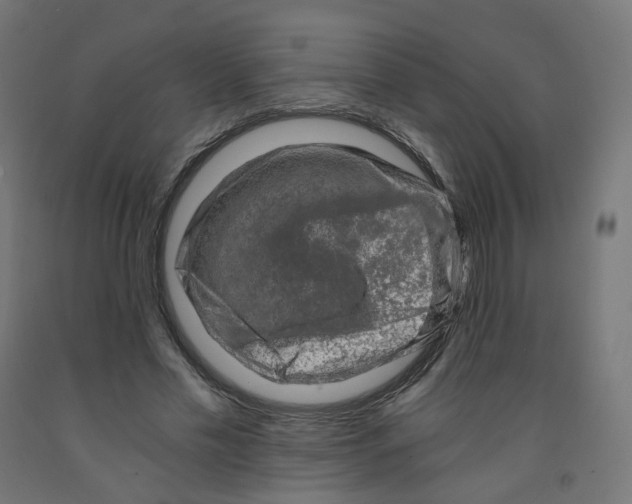 X0000091900589200710031824